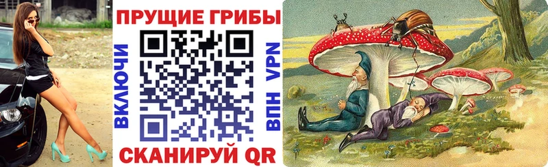 мега зеркало  Александровск-Сахалинский  Галлюциногенные грибы мицелий 